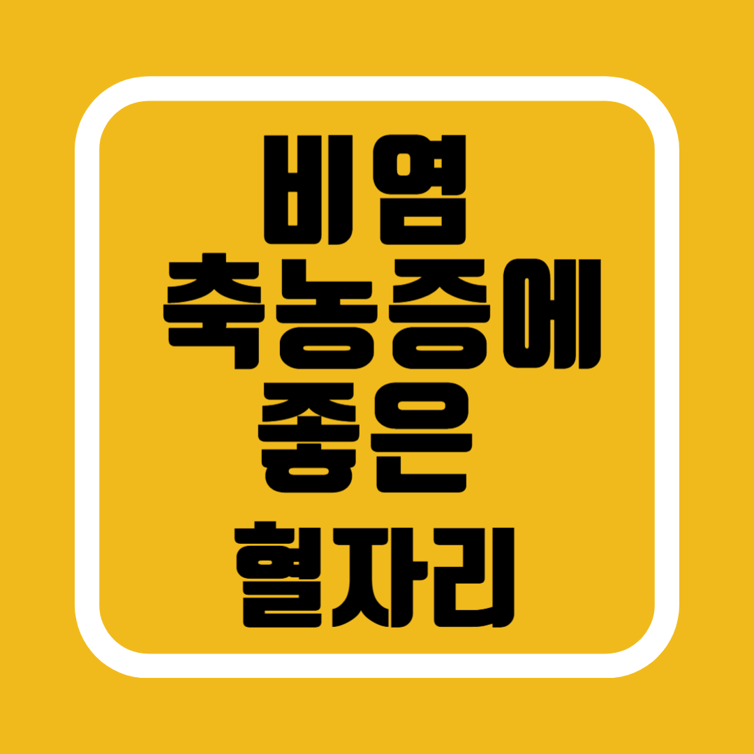 비염, 축농증에 좋은 혈자리, 환절기 건강관리 비법