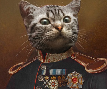 포토샵 체험판 무료 다운 방법 (2024년 11월) 1