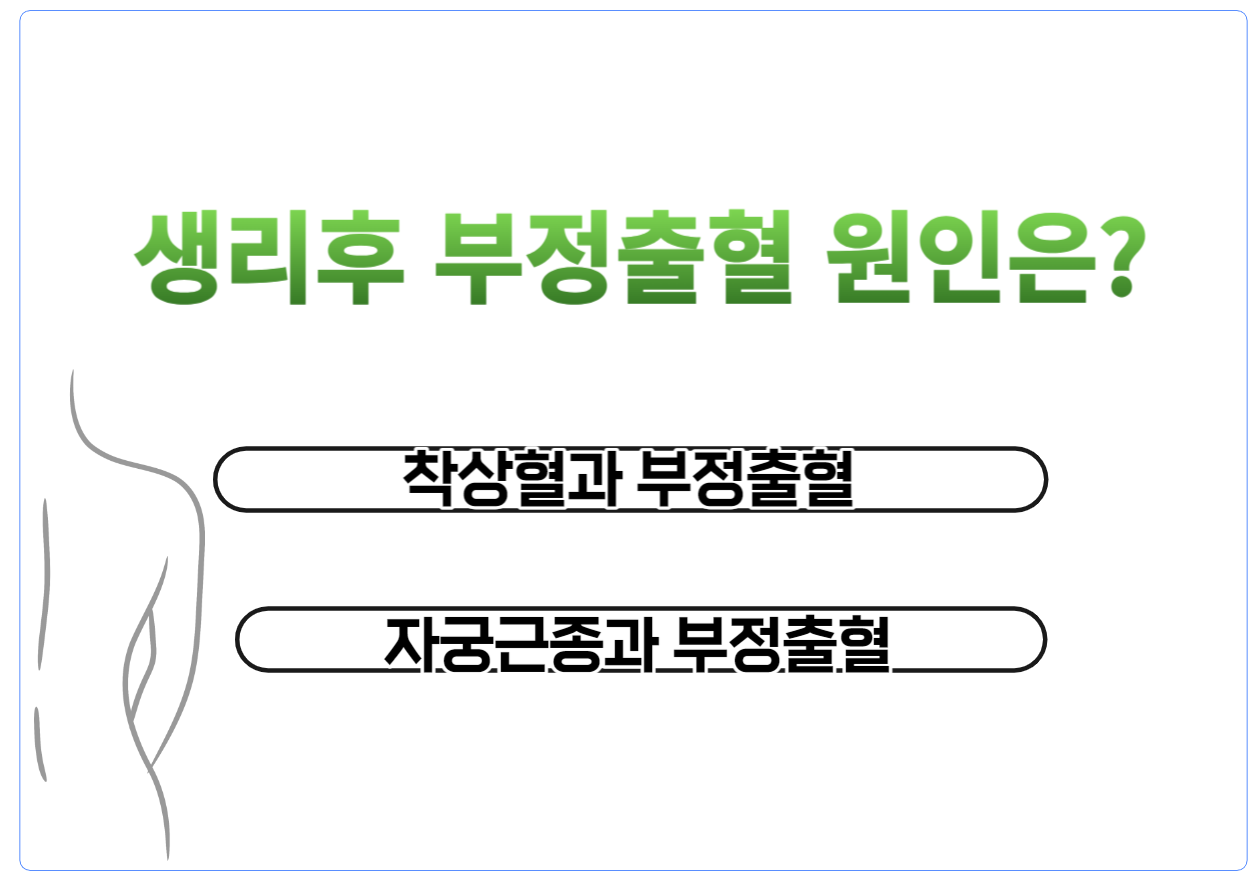 생리후 부정출혈 원인은 무엇일까요? 여성의 건강을 생각할 때 가장 기본적인 것 중 하나가 바로 '생리'입니다. 생리는 우리 몸이 정상적으로 기능하고 있다는 신호이며, 가임 기간 동안 여성의 건강 상태를 반영해 주죠. 그러면 왜 부정출혈이 생기는지 알아볼까요~