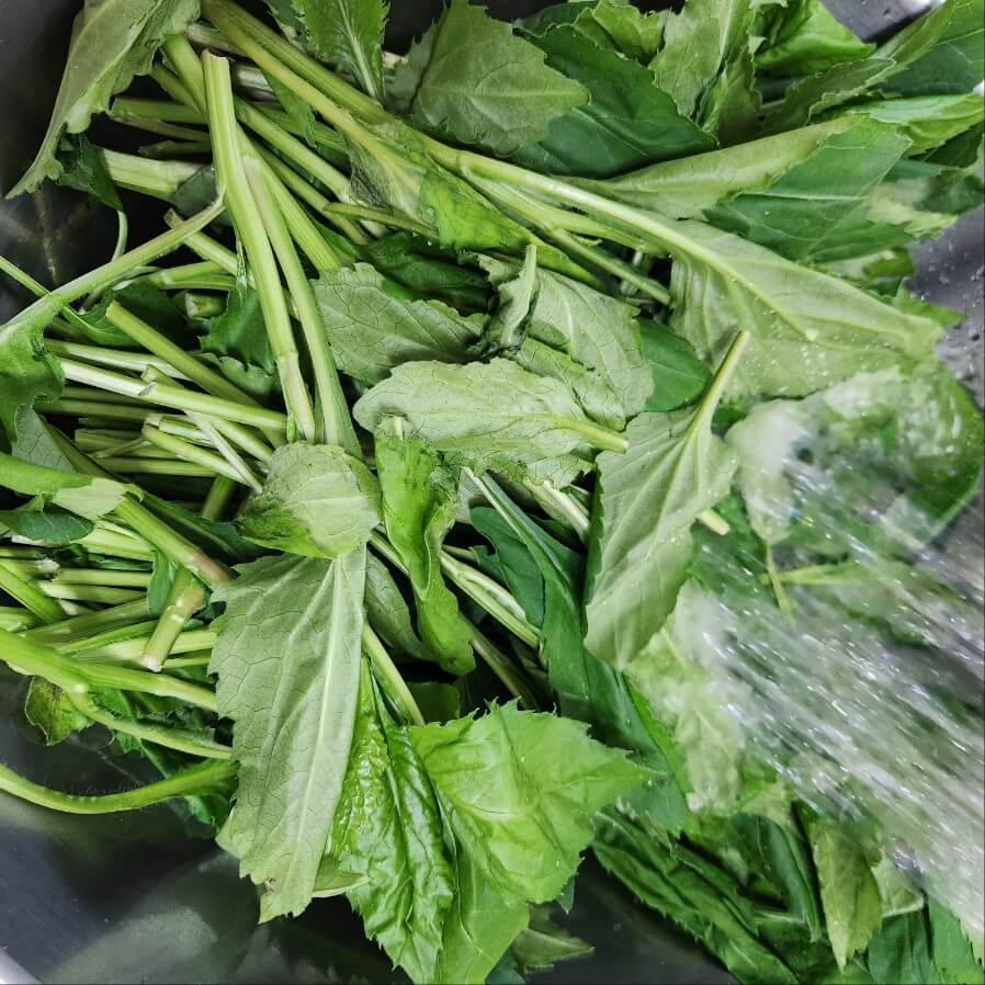 일주일 밑반찬 레시피 밑반찬 종류 소고기장조림 레시피 반찬레시피 밑반찬 만들기 두부조림 레시피 간단한 밑반찬 밑반찬 레시피 밑반찬 레시피! 누구나 좋아하는 어묵감자볶음 밑반찬레시피 애호박볶음 만드는법 밑반찬레시피 - 달걀장조림 밑반찬레시피 향긋하게 입맛 돋우는 깻잎볶음 밑반찬레시피 - 견과류멸치볶음 밑반찬레시피 햄감자볶음 햄감자채볶음 만드는법 밑반찬 레시피 스팸양파볶음 밑반찬레시피 고추장 멸치볶음 만드는 법 달래장 만들기 밑반찬레시피 쉽고 맛있는 파래초무침 만드는법 밑반찬레시피 백종원 무말랭이무침 만드는법 보쌈무 밑반찬레시피 밑반찬 황금레시피 배추 무침 레시피 간단 밑반찬 우엉조림 황금레시피 짭조름 밑반찬 만들기 밑반찬 레시피 모음