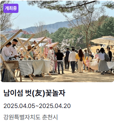 남이섬축제