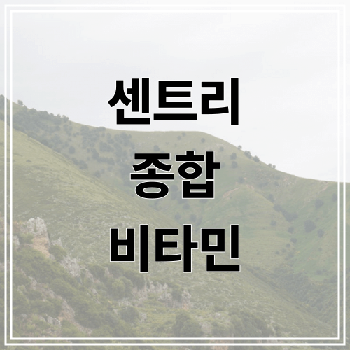 센트리 종합 비타민