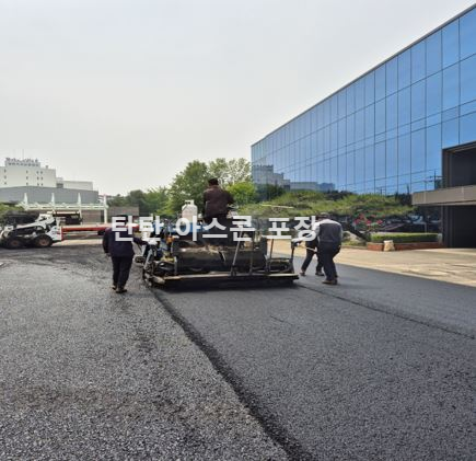 미니피니셔-탄탄아스콘