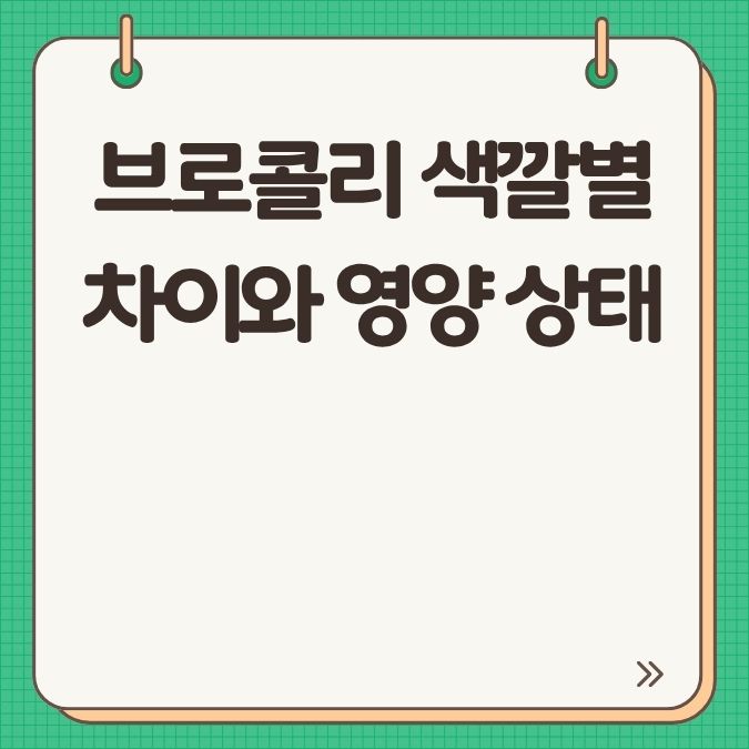 브로콜리 색깔별 차이와 영양 상태