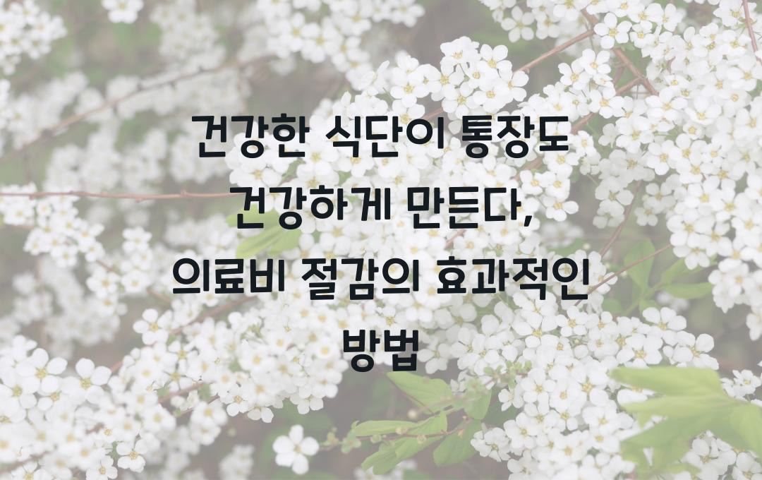 건강한 식단이 통장도 건강하게 만든다: 의료비 절감하는 현명한 식생활