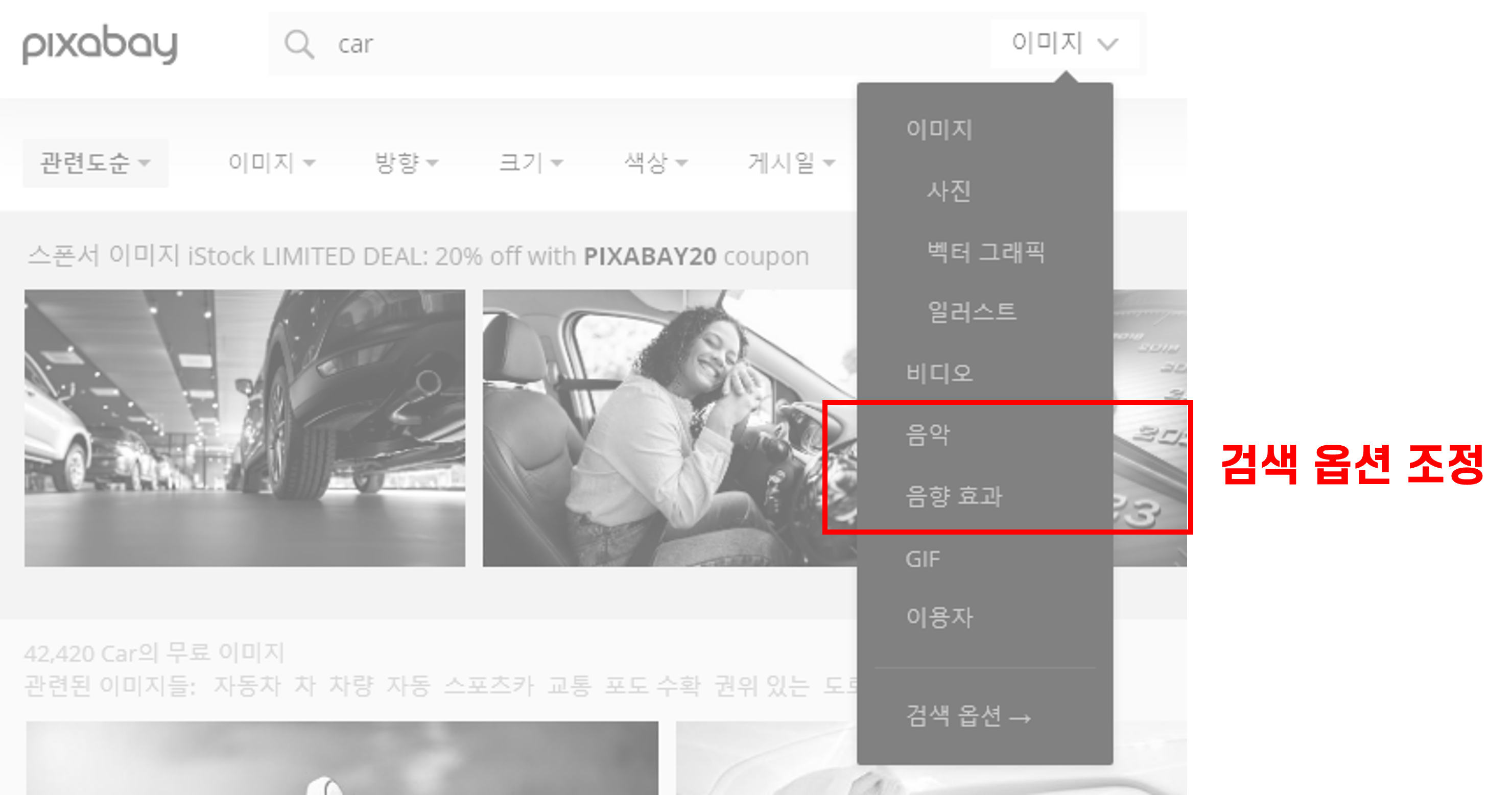 픽사베이-검색옵션