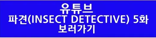 파견 5화 유튜브 바로가기 버튼