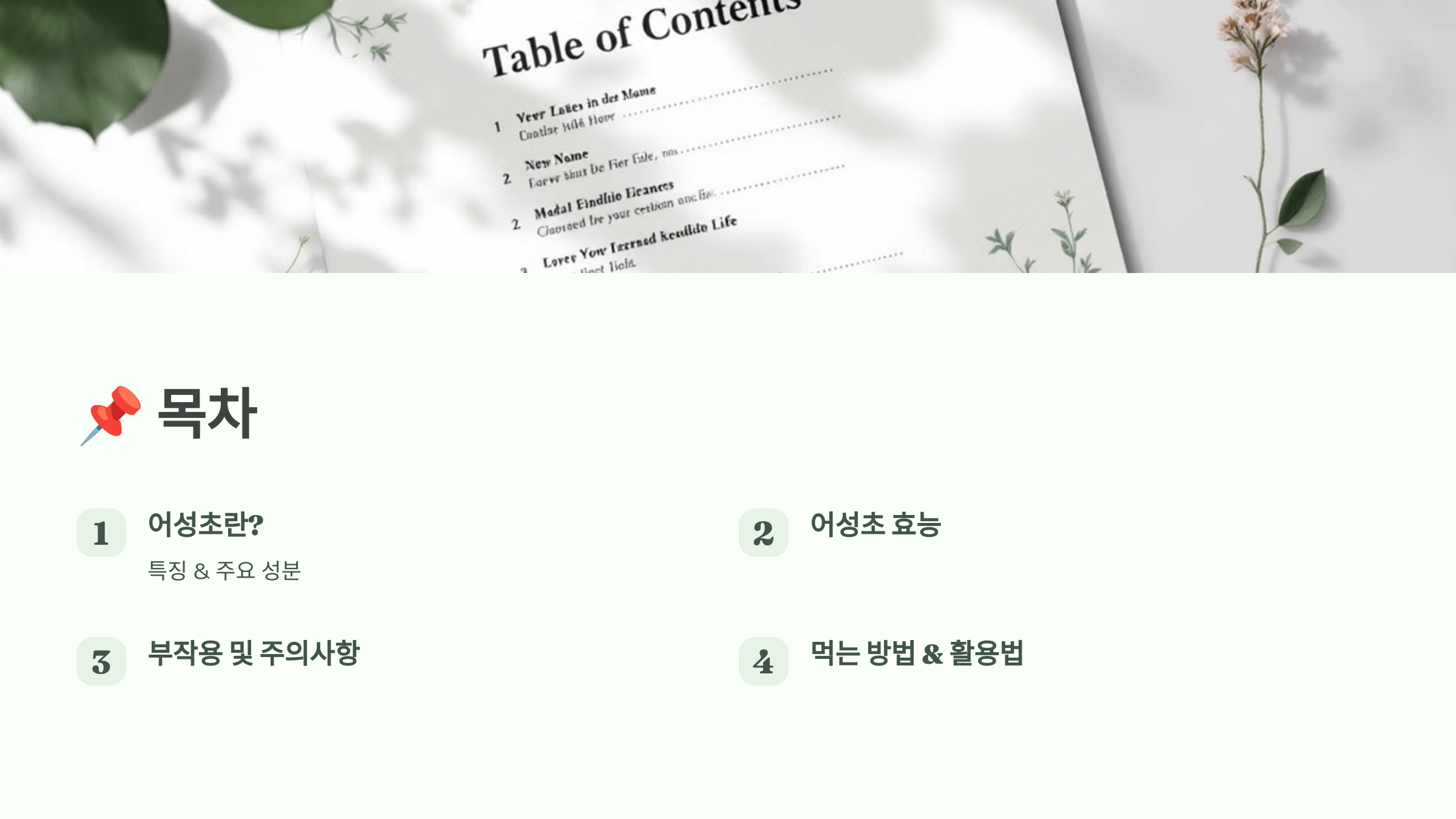 어성초 사진입니다.