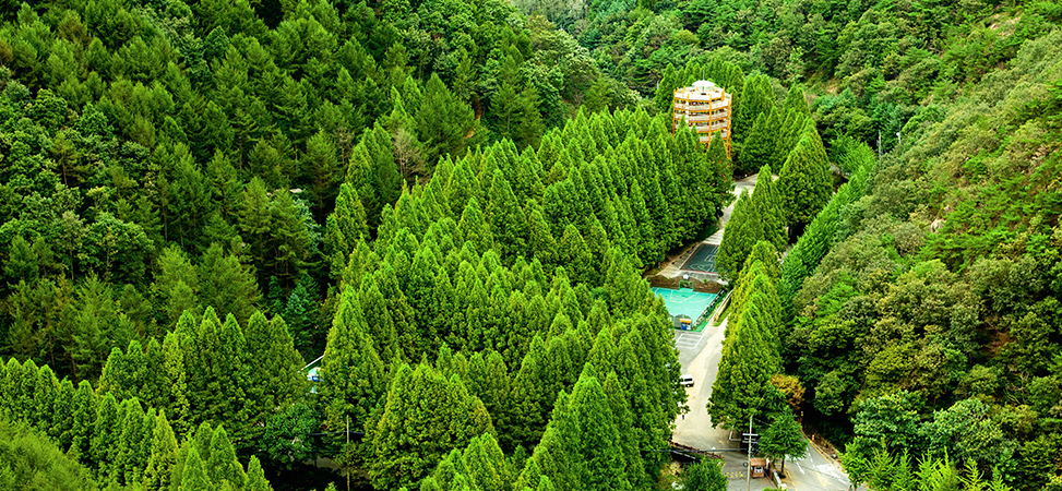 장태산 자연휴양림 예약 