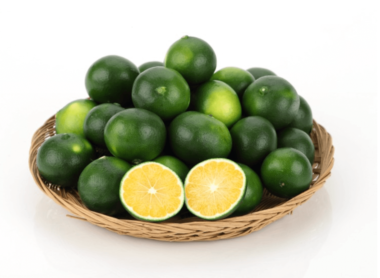 [겨울철 별미] 간단명료! 감귤의 종류 및 보관방법