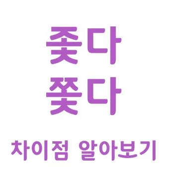 좇다 쫓다 맞춤법 맞는 표현 예문_29