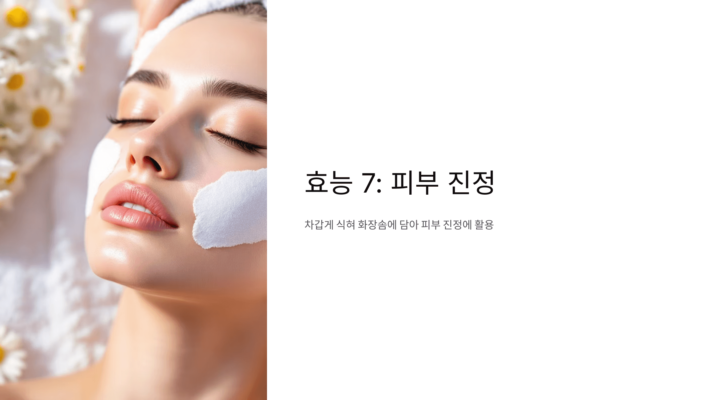 캐모마일차 사진입니다.