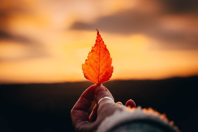 태양열 발전 연구자 마리아 텔케스
