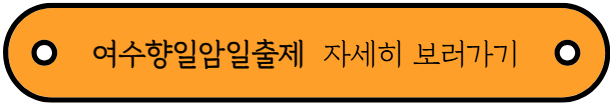 2025년 연말 축제 및 2026년 해돋이 행사 소개