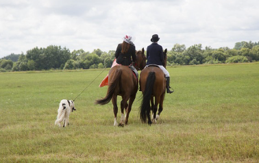 말을 타고 개와 걷고 있는 사람들.