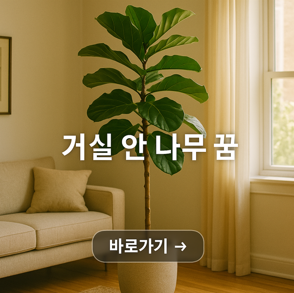 거실 안 나무 꿈