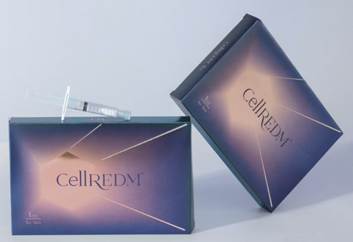 국내 대표 인체조직은행 기업비교: 엘앤씨바이오 vs 한스바이오메드