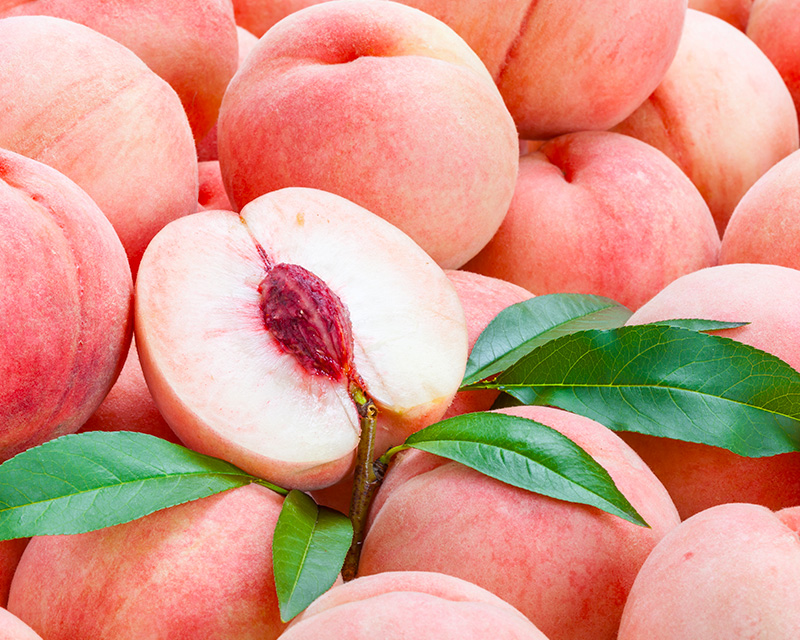 여름철 맛있는 과일을 고르는 방법과 보관 방법