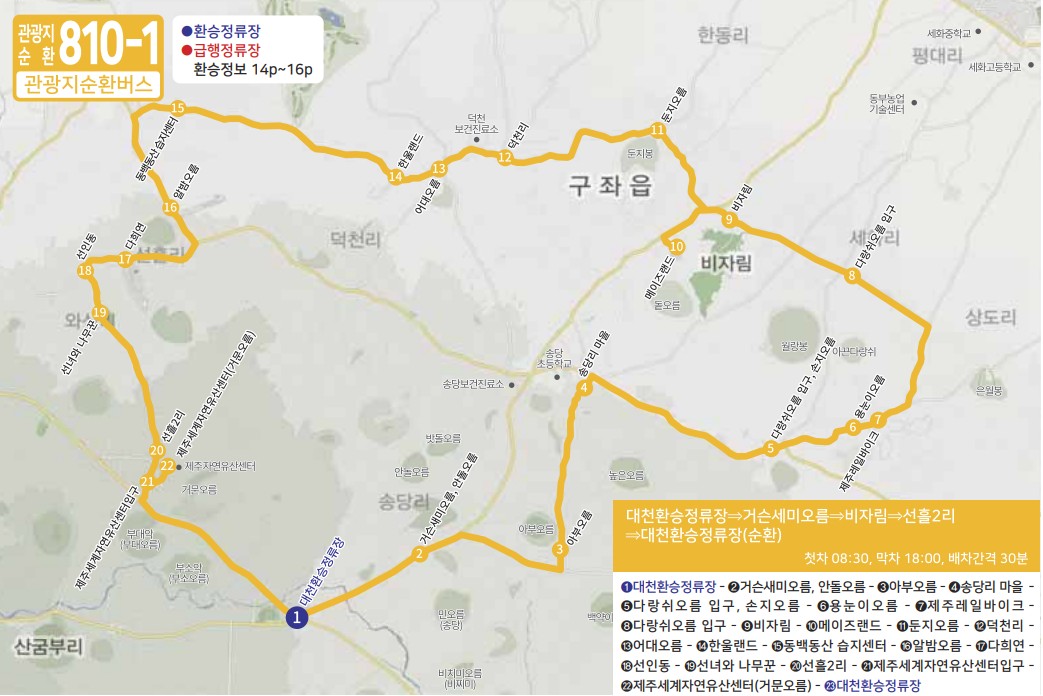 제주도 버스노선 - 관광지순환버스 810-1, 810-2, 820-1, 820-2, 820-3, 서귀포시티투어880, 심야버스3001, 3002, 3003, 3004, 3005, 3006, 3007, 3008