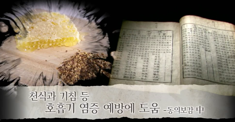 프로폴리스 효능