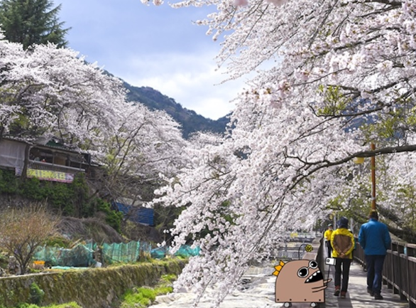 진해 가볼만한곳 베스트10