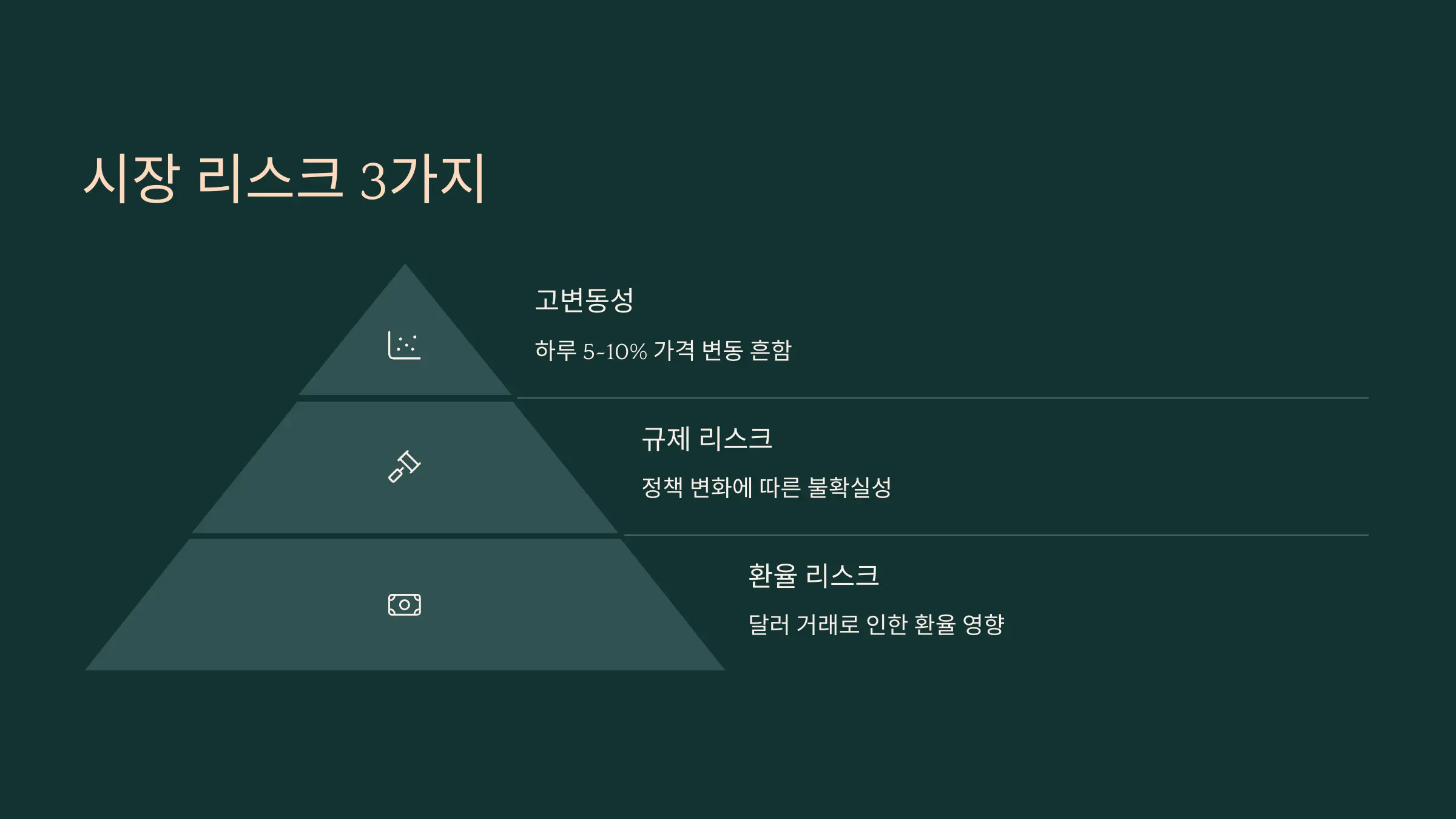 시장 리스크 3가지