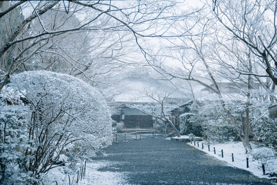 겨울에 가면 좋은 일본 여행지