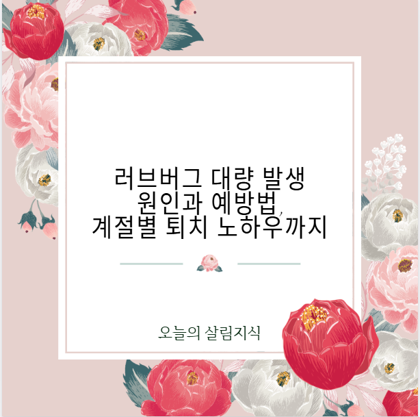 러브버그 대량 발생 원인과 예방법, 계절별 퇴치 노하우까지