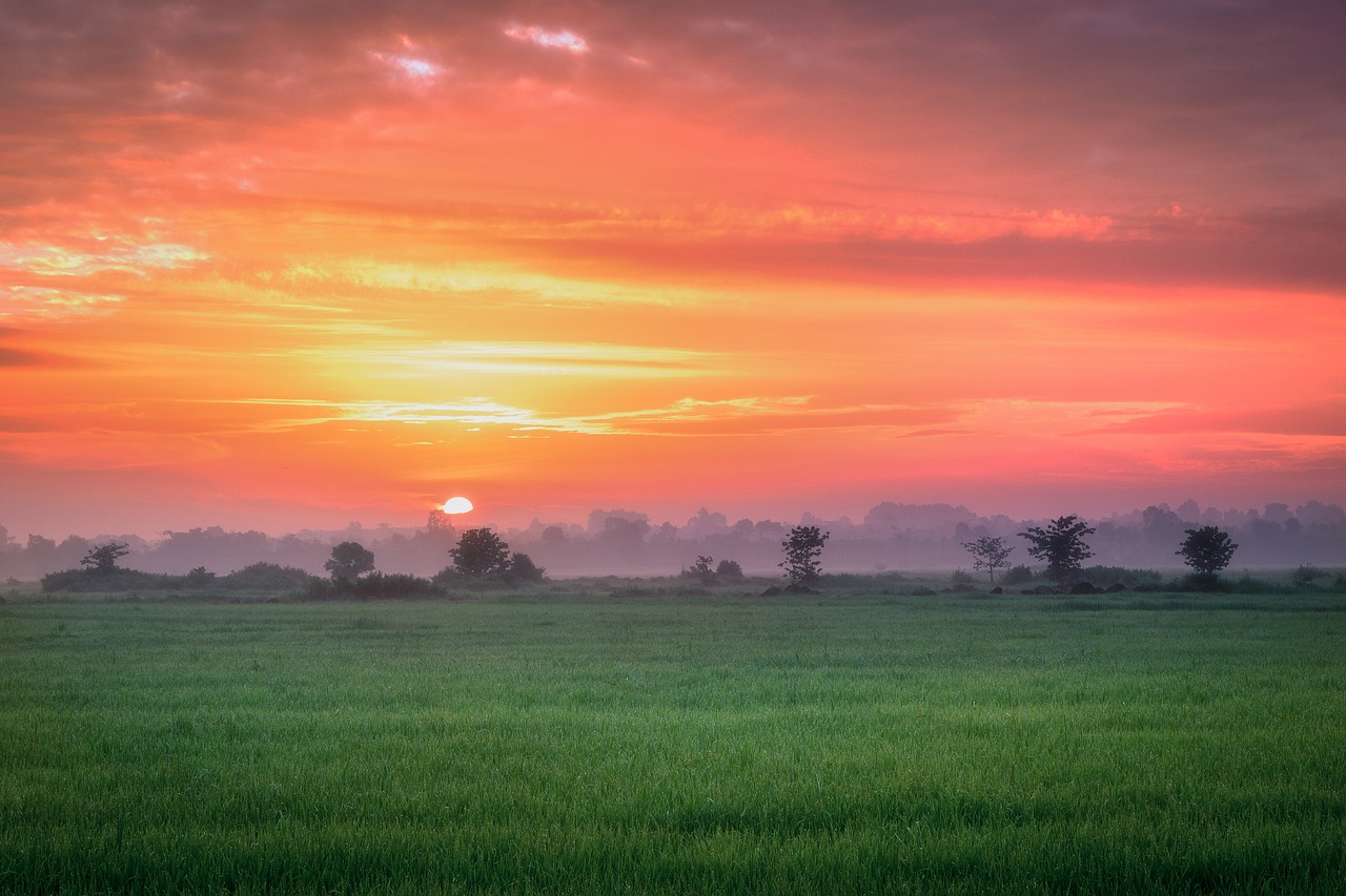 추석&#44;명절 제사 지낼 때 병풍 놓는 방향 과 이유