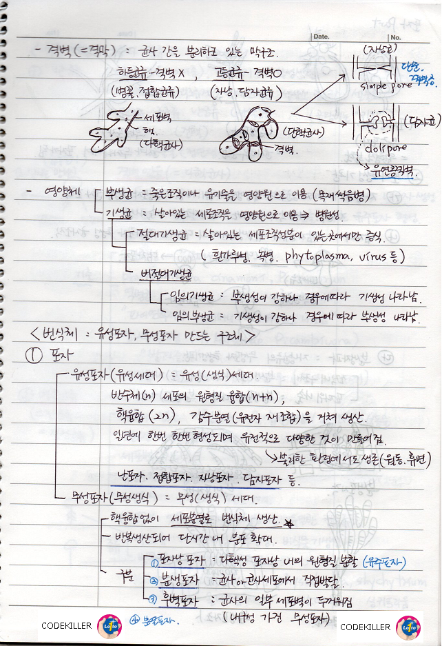 곰팡이에 의한 수목병해