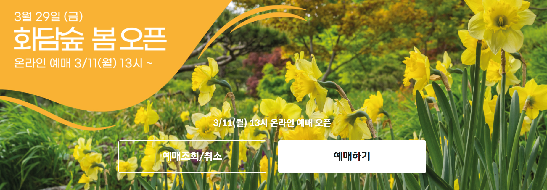 2024 벚꽃 화담숲 모노레일 예약 관람팁