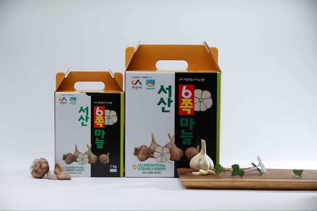 제 15회 서산6쪽마늘축제 기본일정과 프로그램 정리 나태주 한여름 한강 출연(feat문화누리카드 사용가능 및 방법 정리)