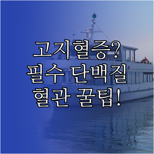 고지혈증, 어떤 단백질을 먹어야 혈관..