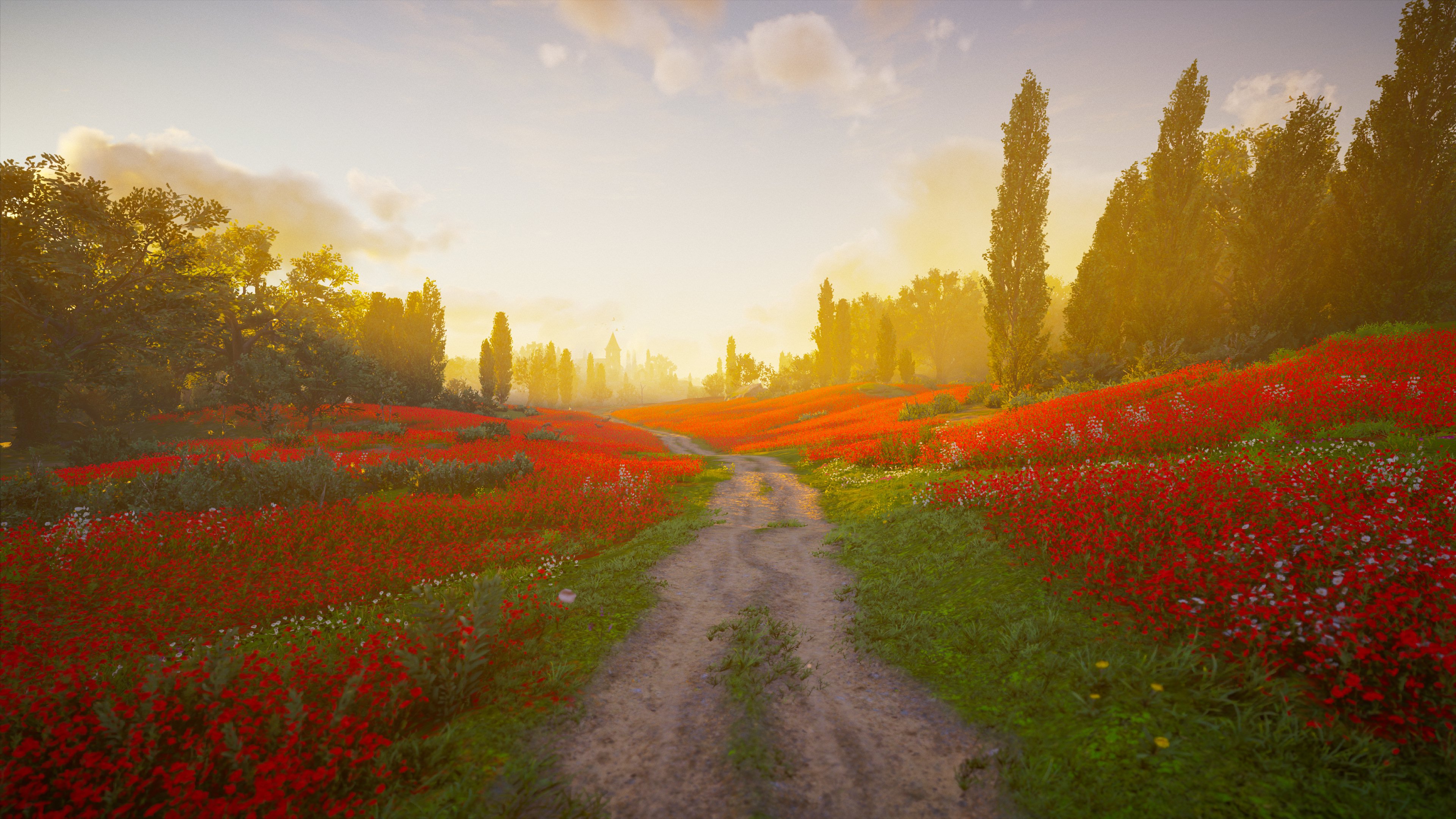 발할라 나만 고양이 없어