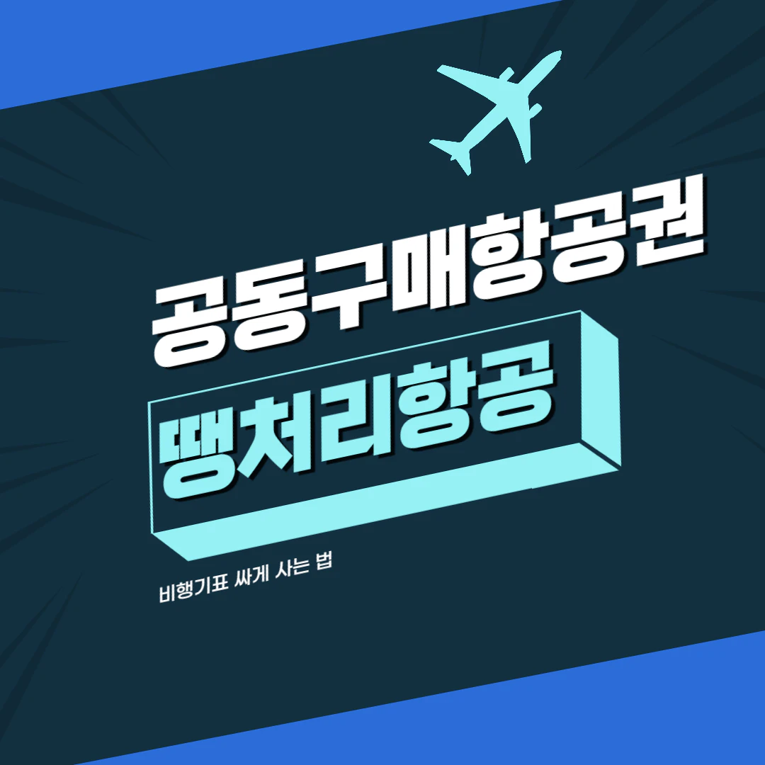 공동구매항공권, 땡처리항공권 검색하기