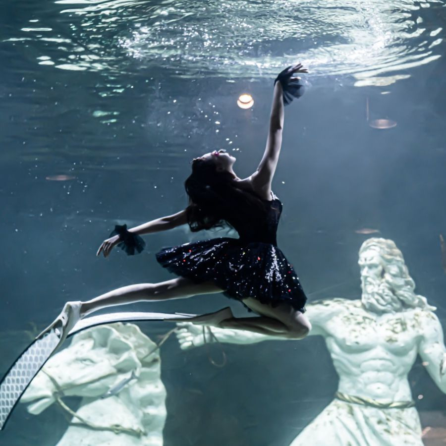 대전 엑스포 아쿠아리움