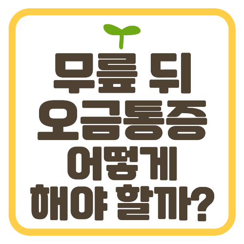 무릎 뒤 오금통증