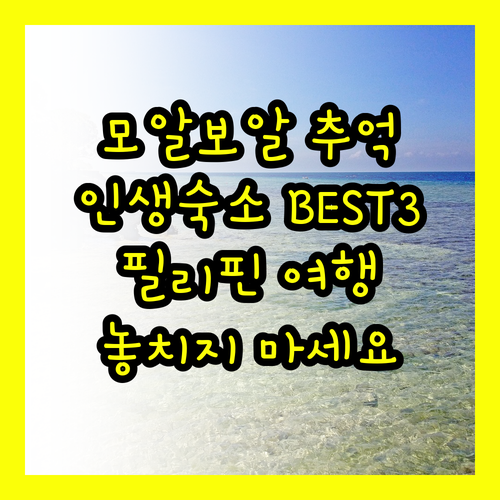 모알보알에서 잊지 못할 추억 만들기!