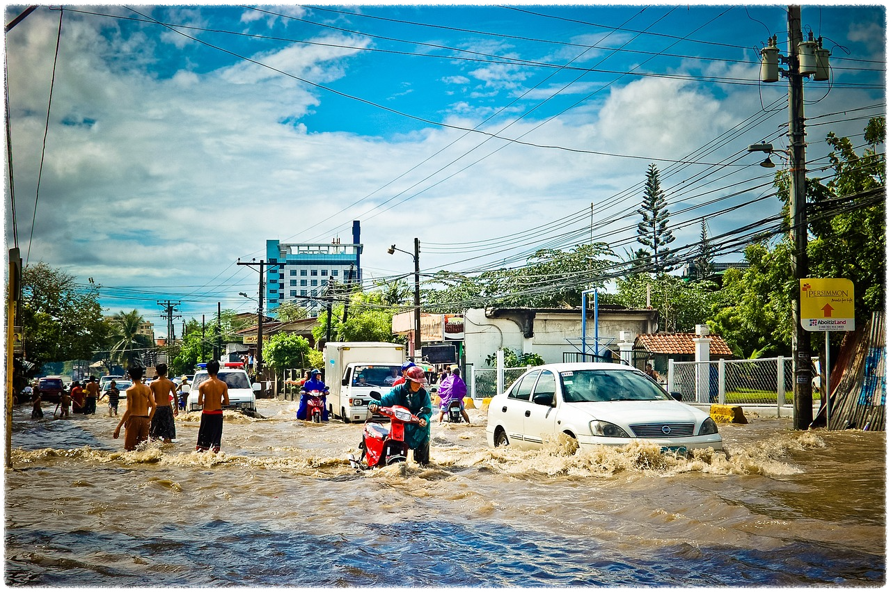 중고차 필수 확인 목록