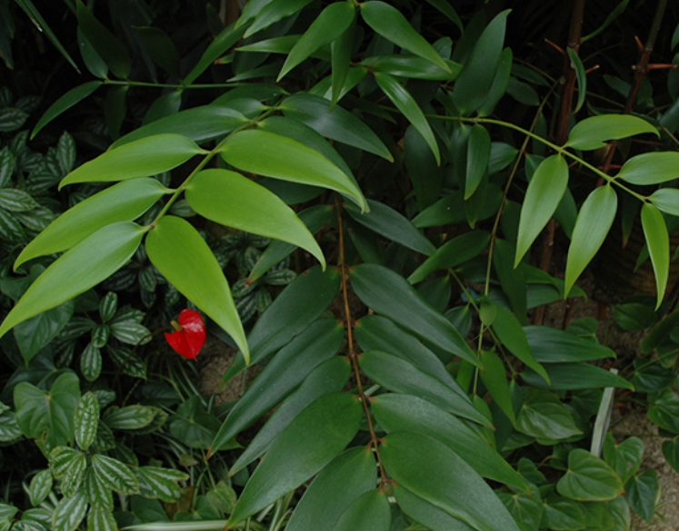 가을여행/가족여행지/추천/전북/대아수목원 