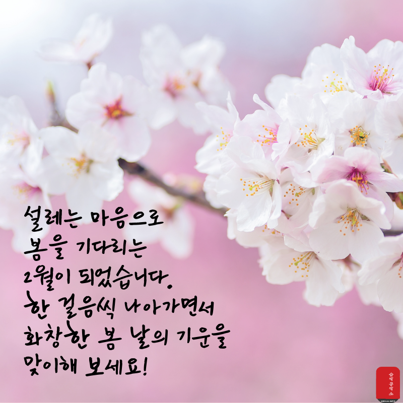 2월 인사말 문구 이미지 모음집