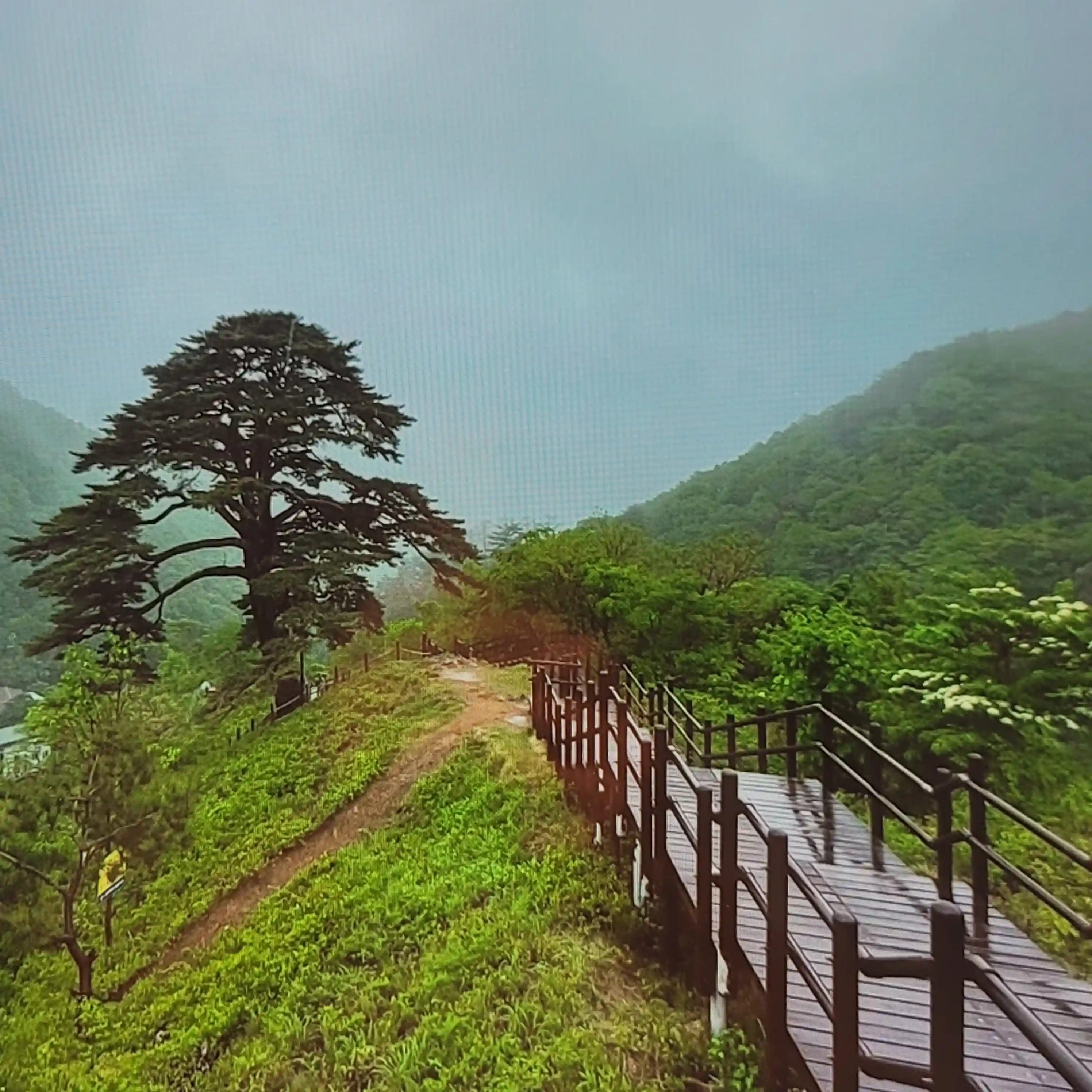 여름철 계곡산행지