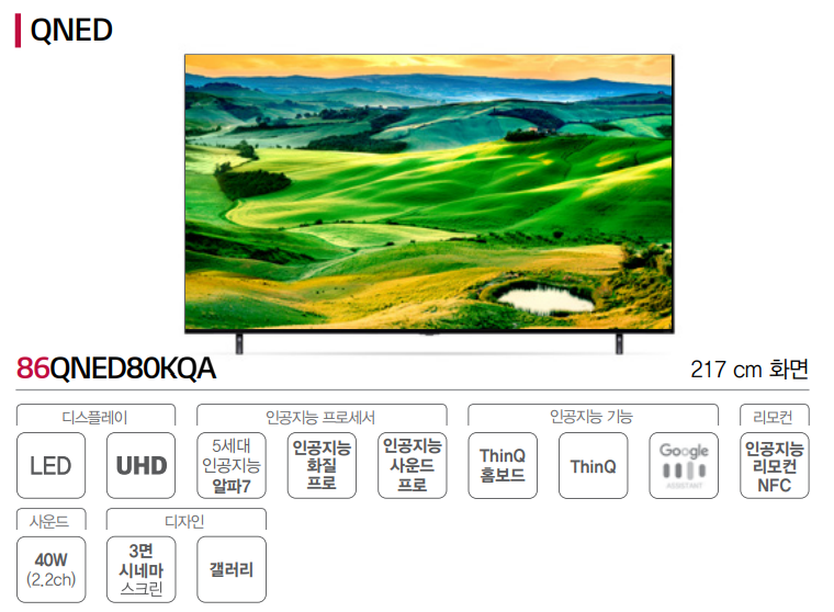 LG QNED 86QNED80KQA 종합