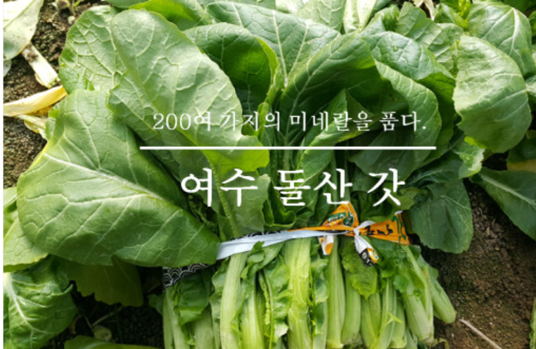 작금농원