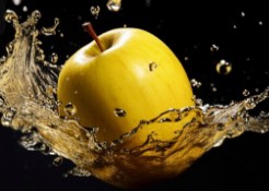 시나노-골드-황금-노란-사과-3