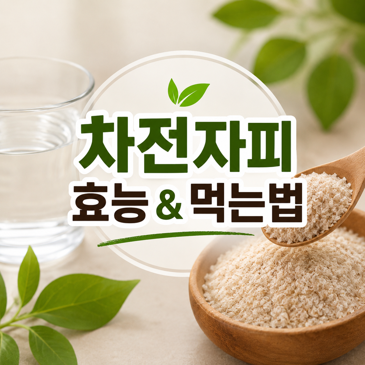 차전자피의 효능 차전자피 먹는법