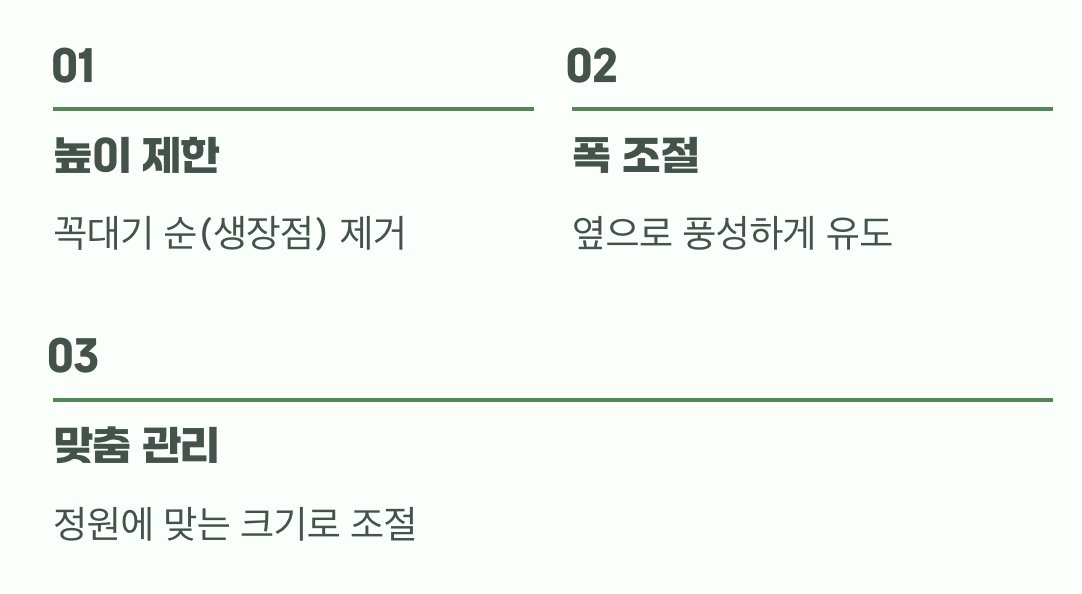 성장 속도를 조절하는 기술, '가지치기'