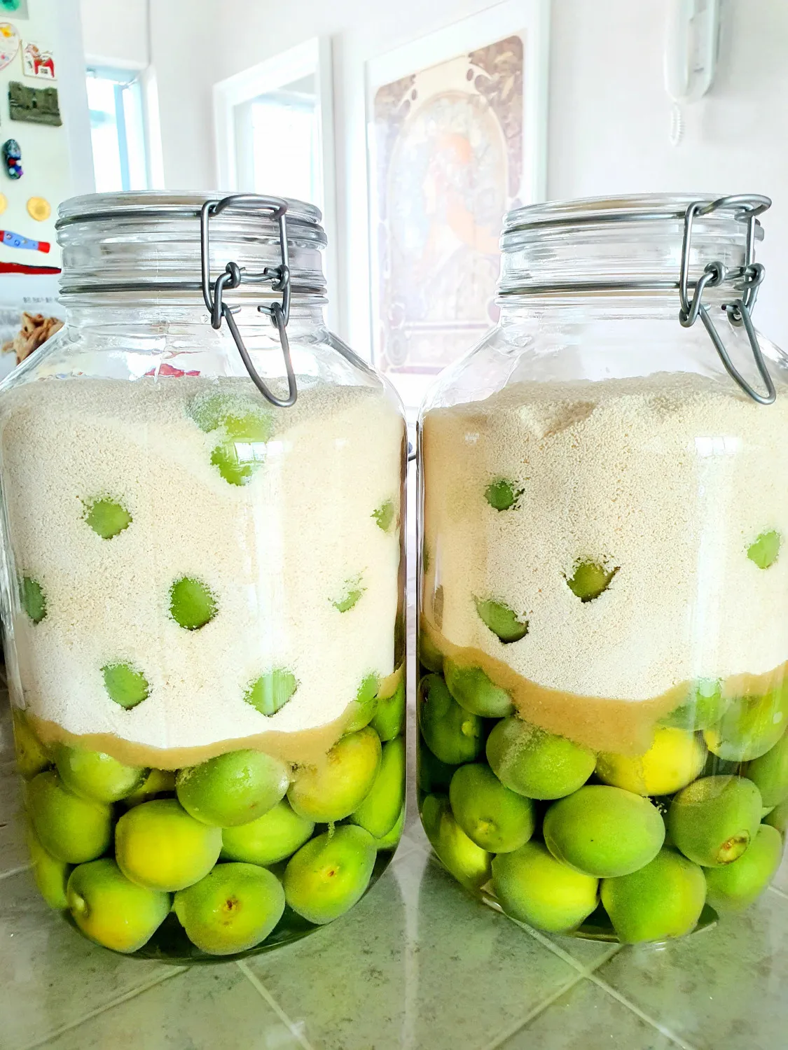 매실청 담그는법 황금비율과 숙성관리 노하우 정리_8