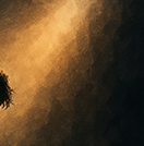 그릿(Grit) &ndash; 열정과 끈기가 성공을 만든다