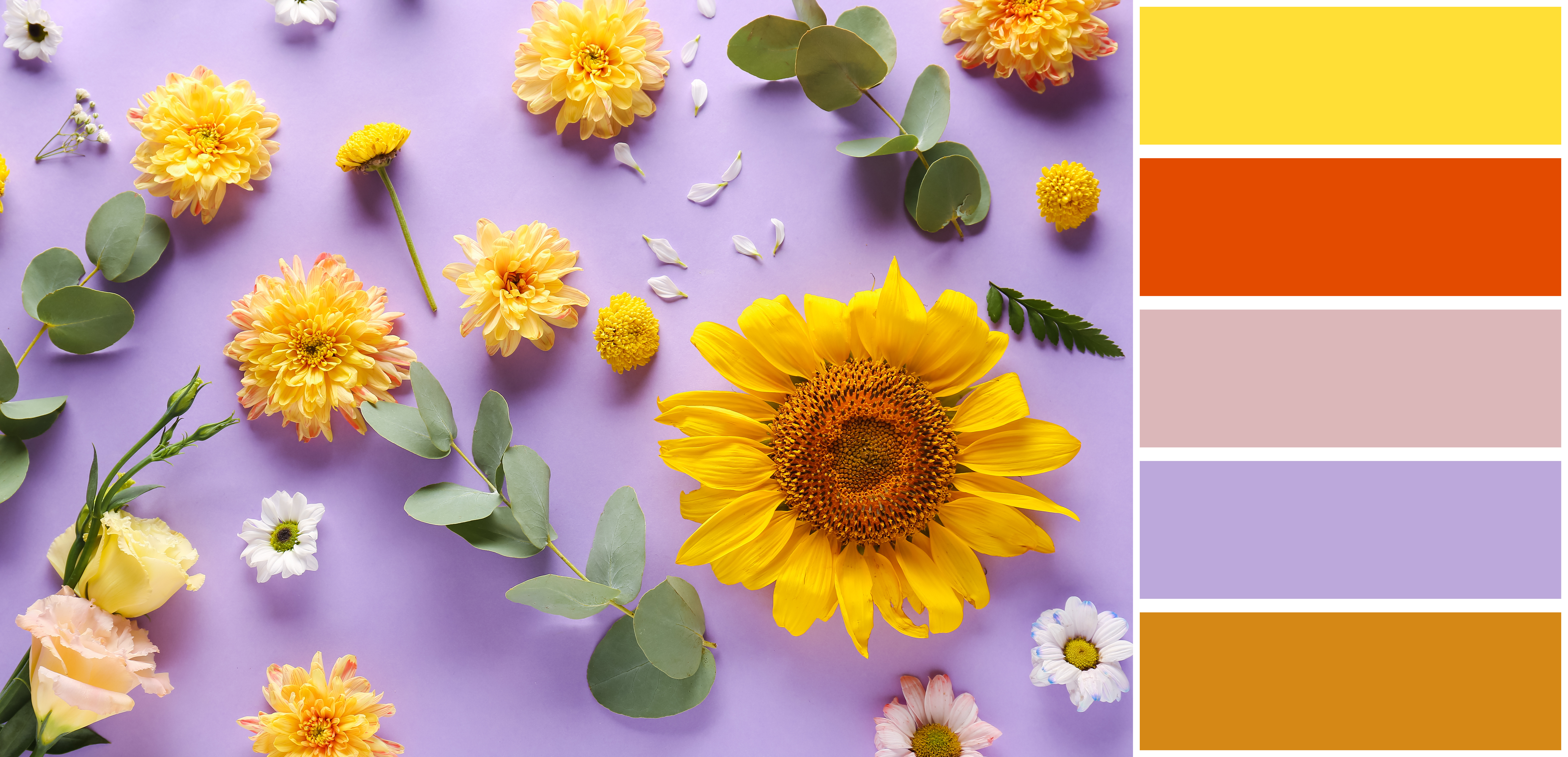 색조합_어도비컬러